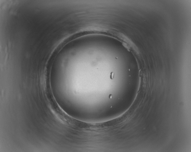 X0000083010580200702091253