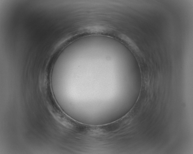 X0000083010583200702091253