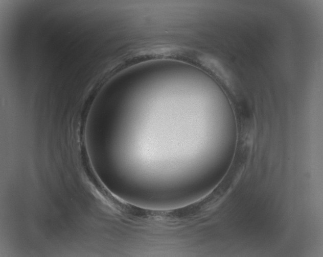 X0000083010585200702091253