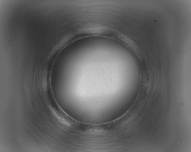 X0000083010586200702091253