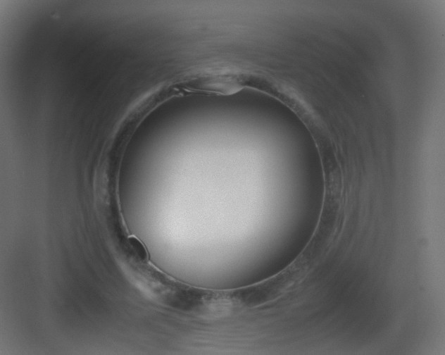 X0000083010587200702091253