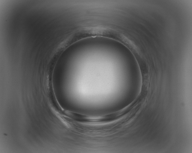 X0000083010589200702091253