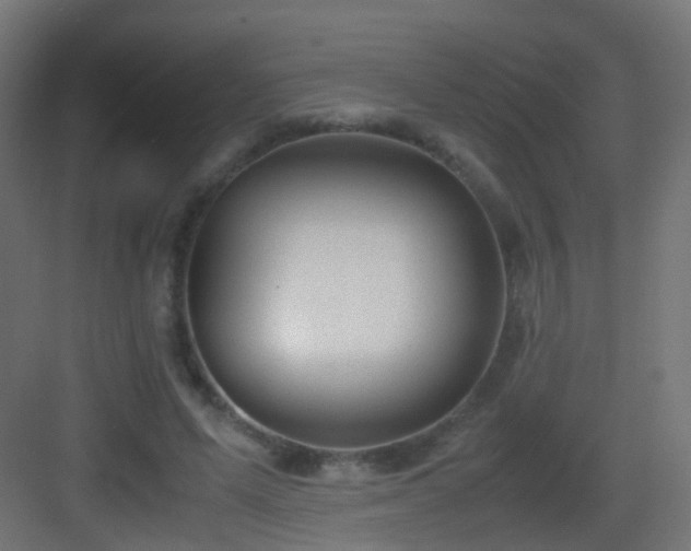 X0000083010591200702091253