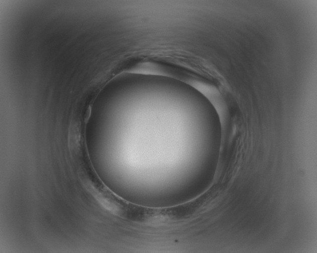 X0000083010593200702091253