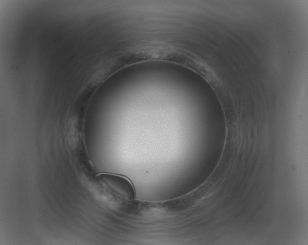 X0000083010594200702091253