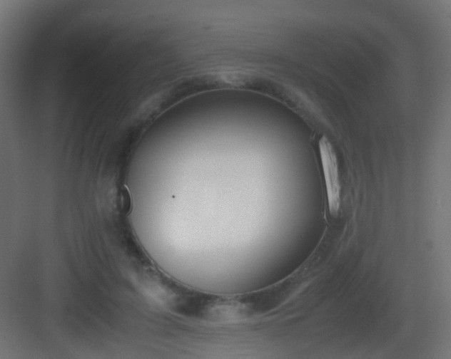 X0000083010595200702091253