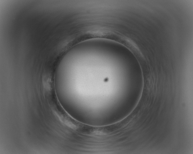 X0000083010596200702091253