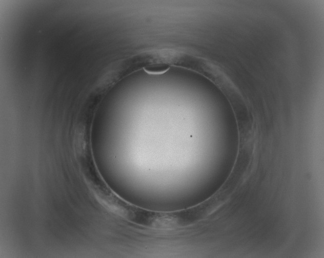 X0000083010599200702091252