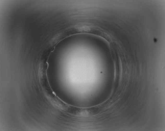 X0000083010600200702091252