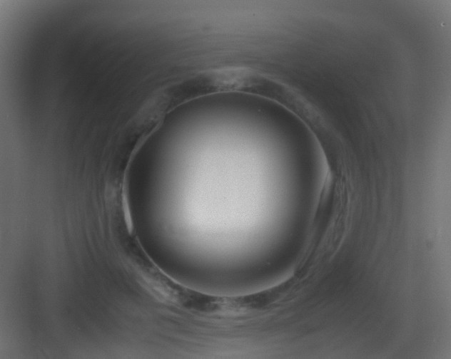 X0000083010601200702091252