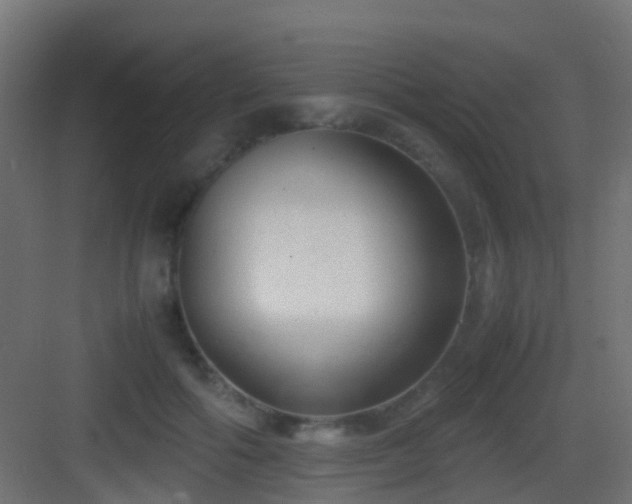 X0000083010602200702091252