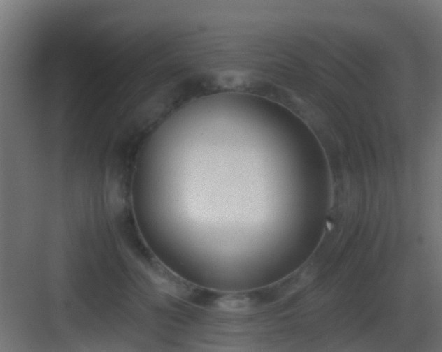 X0000083010606200702091252