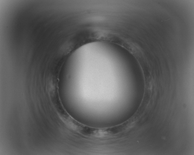 X0000083010607200702091252