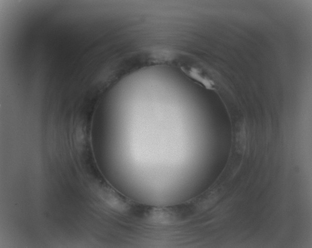 X0000083010608200702091252