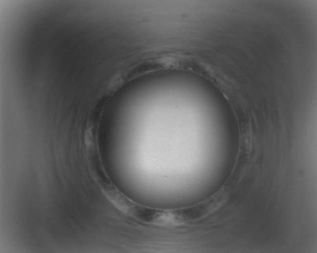 X0000083010611200702091252