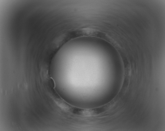 X0000083010615200702091252