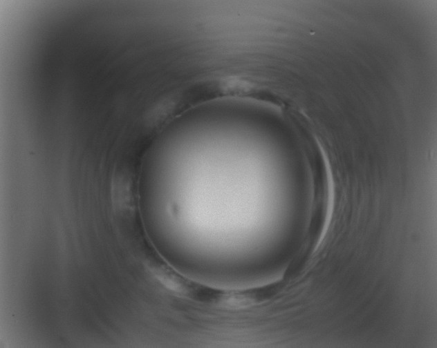 X0000083010619200702091252