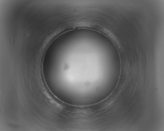 X0000083010625200702091251