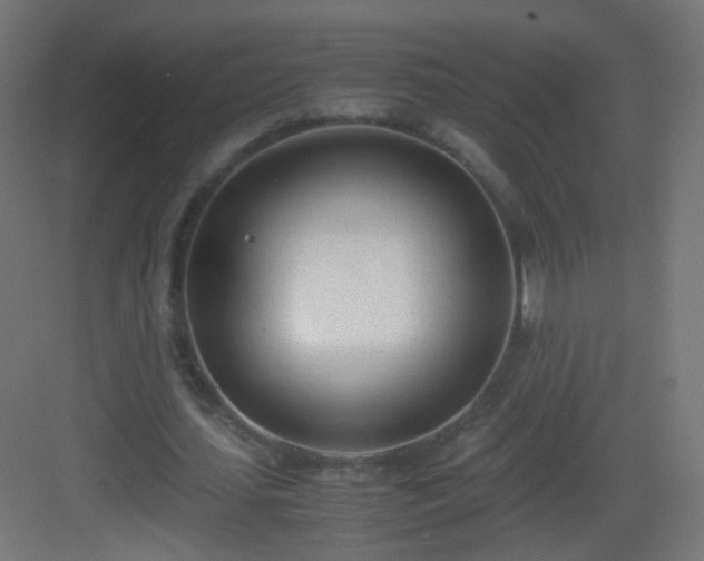 X0000083010627200702091251