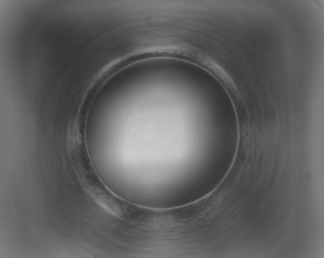 X0000083010628200702091251