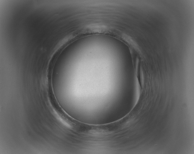 X0000083010630200702091251