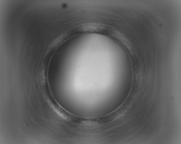 X0000083010633200702091251