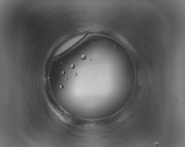 X0000083010634200702091251