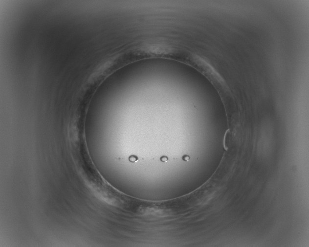 X0000083010635200702091251