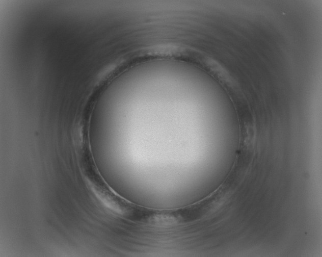 X0000083010636200702091251