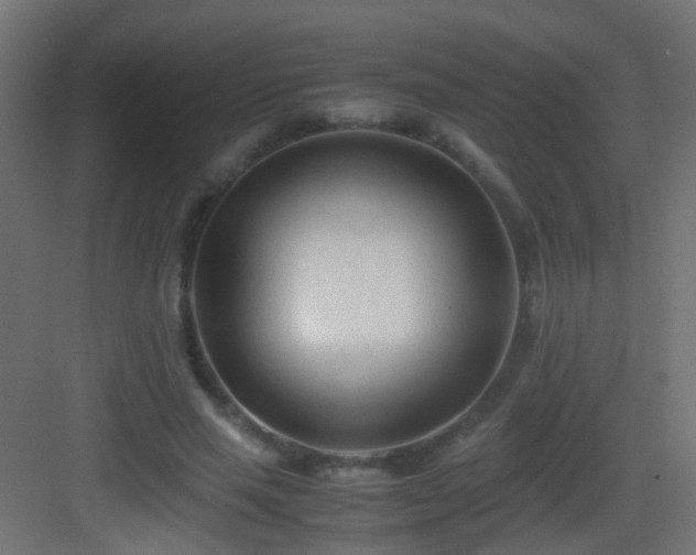 X0000083010637200702091251