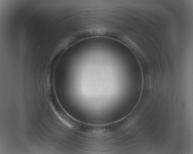 X0000083010638200702091251