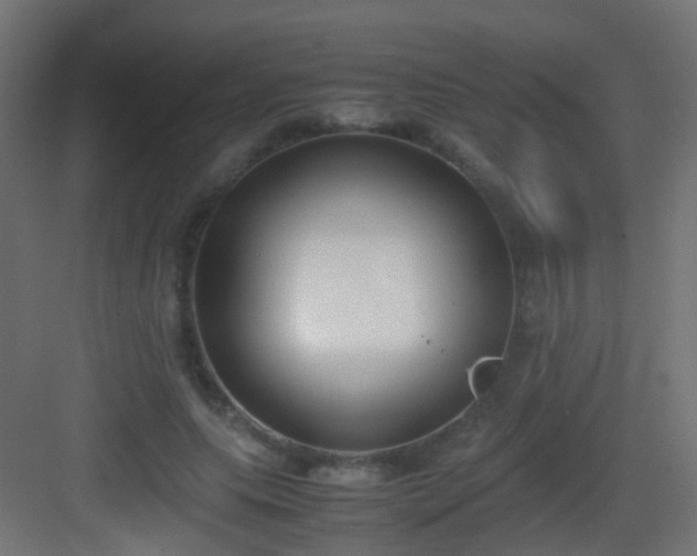 X0000083010639200702091251