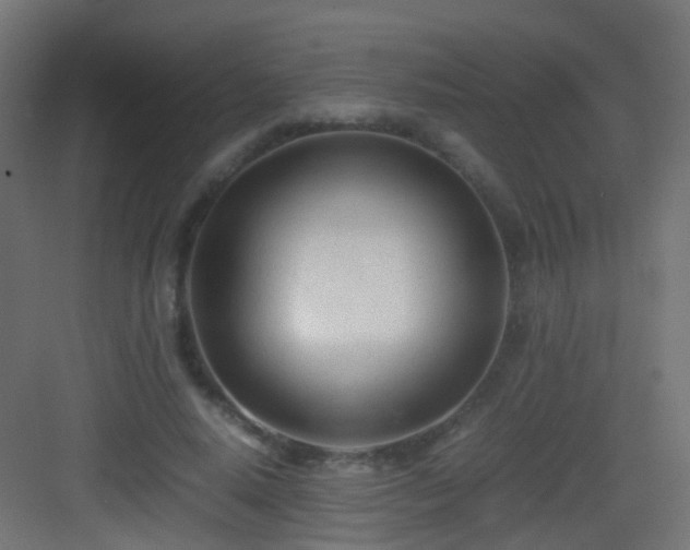 X0000083010640200702091251