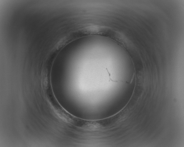 X0000083010642200702091252