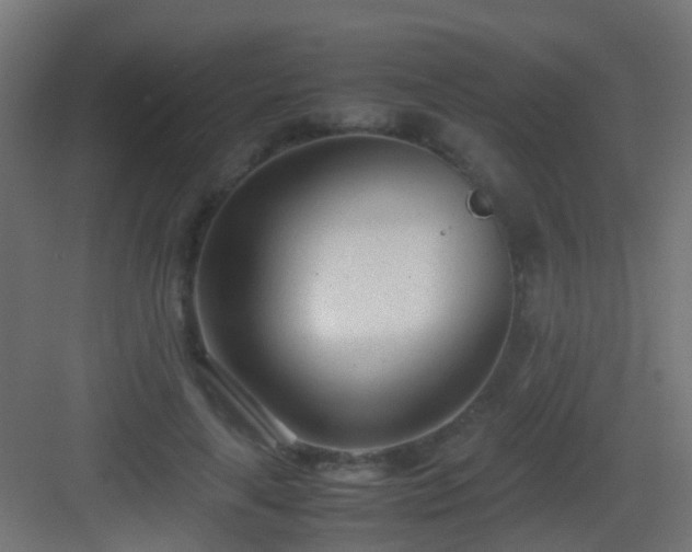 X0000083010643200702091252