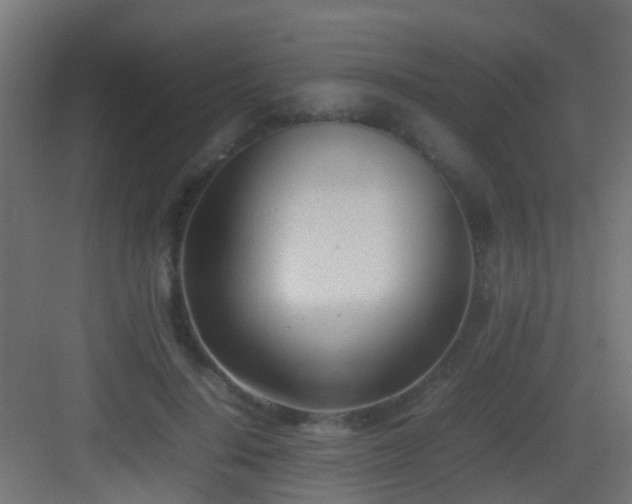 X0000083010644200702091252