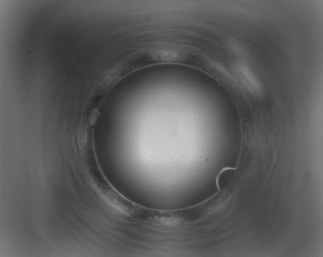 X0000083010645200702091252