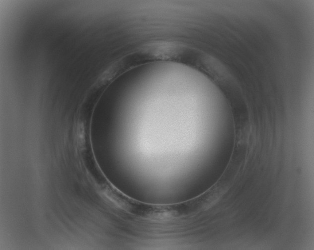 X0000083010646200702091252