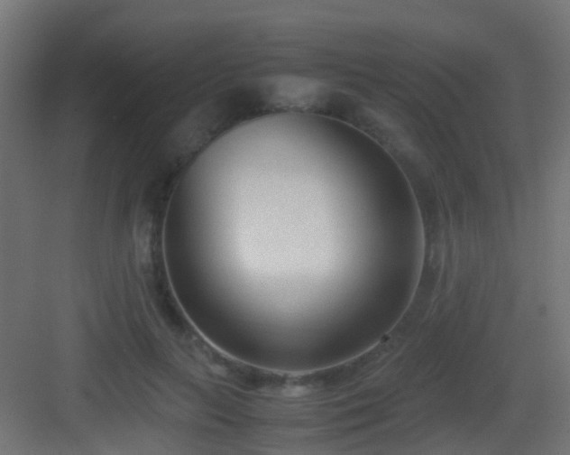 X0000083010647200702091252