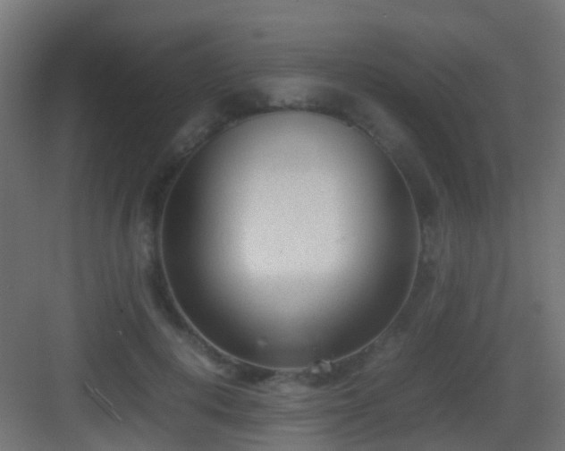 X0000083010648200702091252