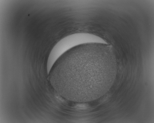 X0000083010659200702091252