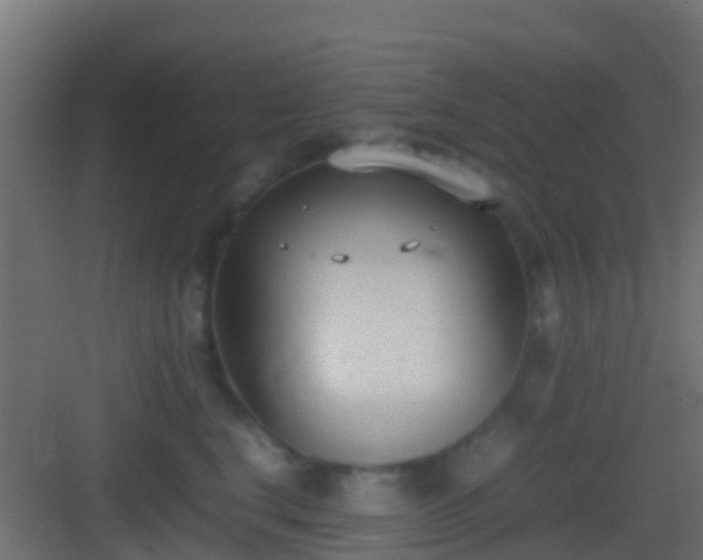 X0000083010664200702091252