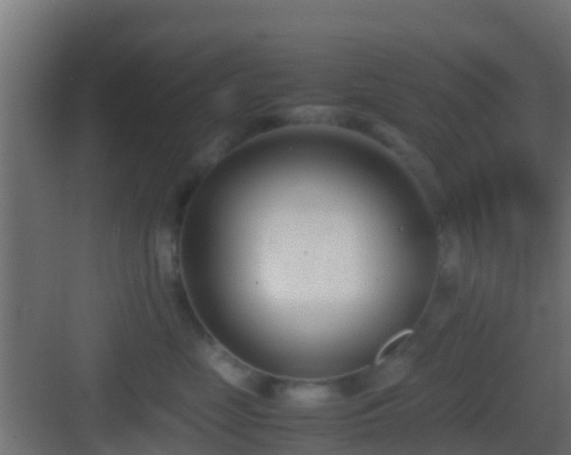 X0000083010669200702091252