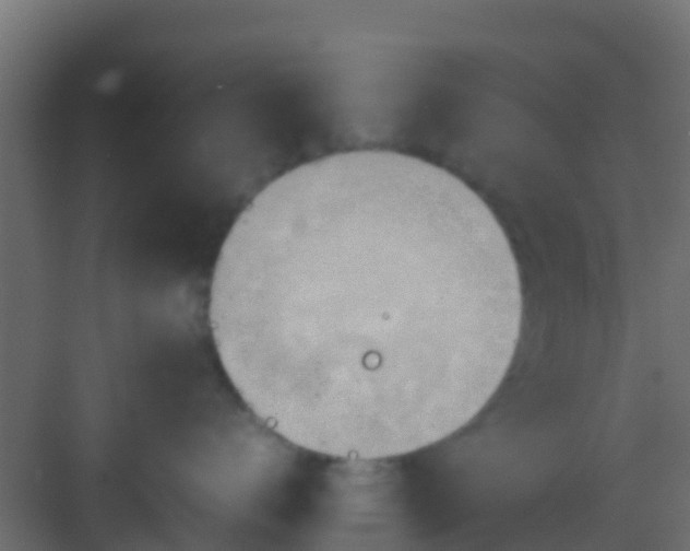 X0000083010672200702091252