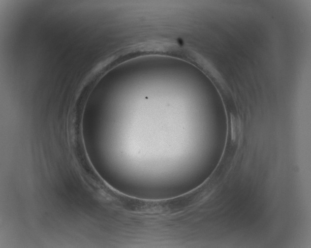 X0000083010675200702091251