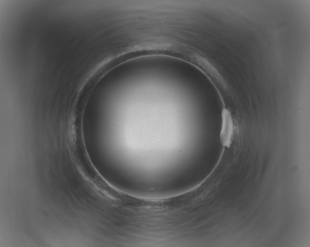 X0000083010676200702091251