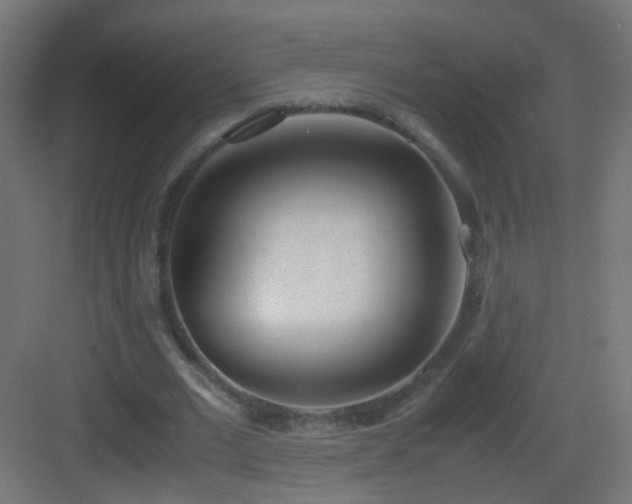 X0000083010677200702091251