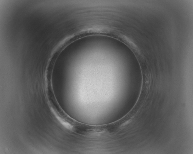 X0000083010678200702091251