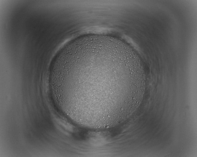 X0000083010679200702091251