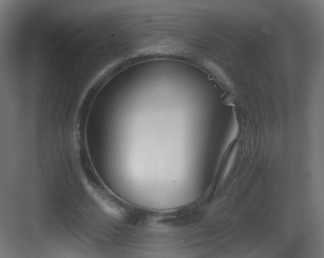 X0000083010680200702091251